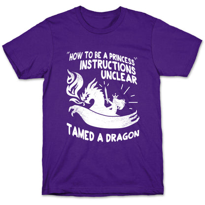 Instructions Unclear, Tamed Dragon T-Shirt