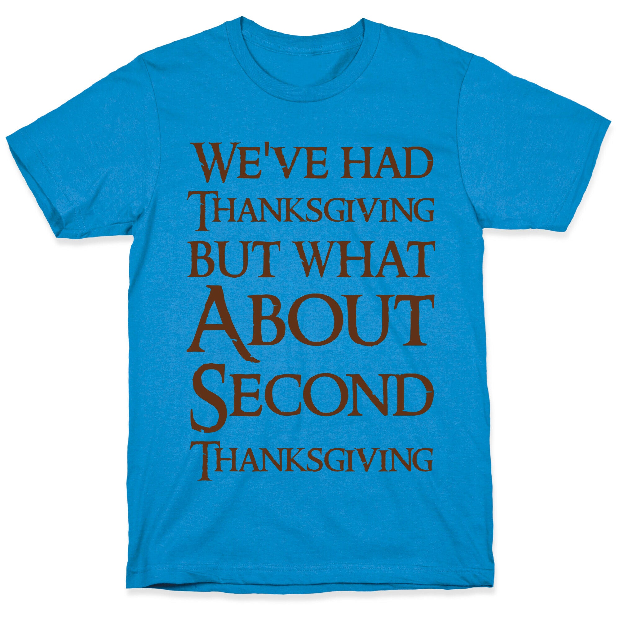 We've Had Thanksgiving But What About Second Thanksgiving  T-Shirt