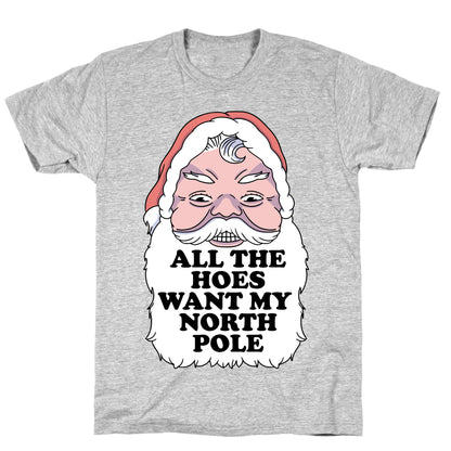 All The Hoes Want My North Pole T-Shirt