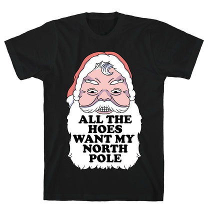 All The Hoes Want My North Pole T-Shirt