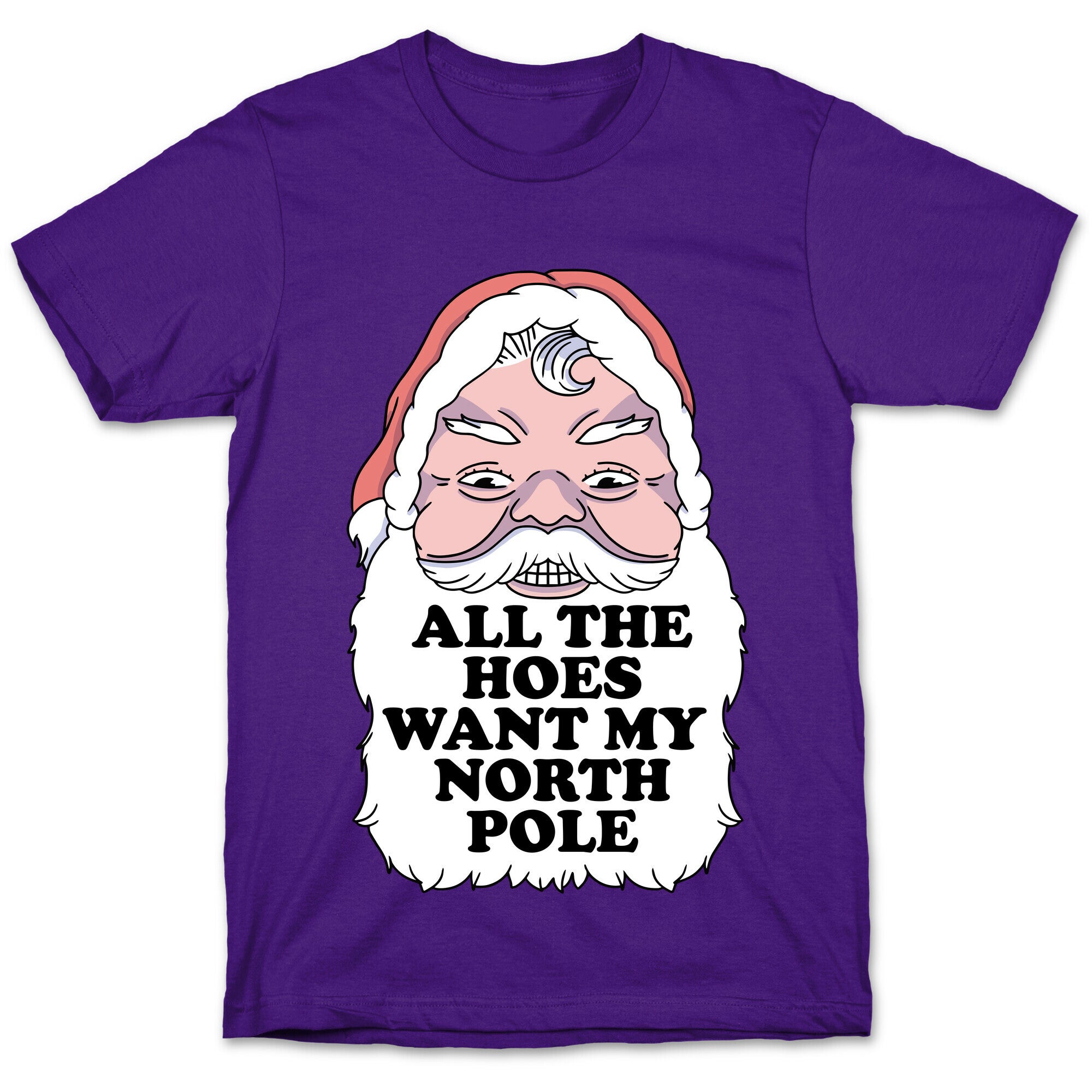 All The Hoes Want My North Pole T-Shirt