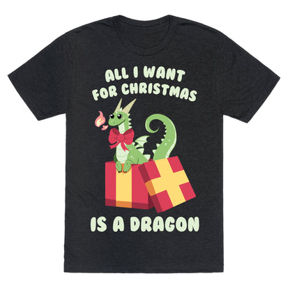 All I Want For Christmas Is A Dragon Unisex Triblend Tee