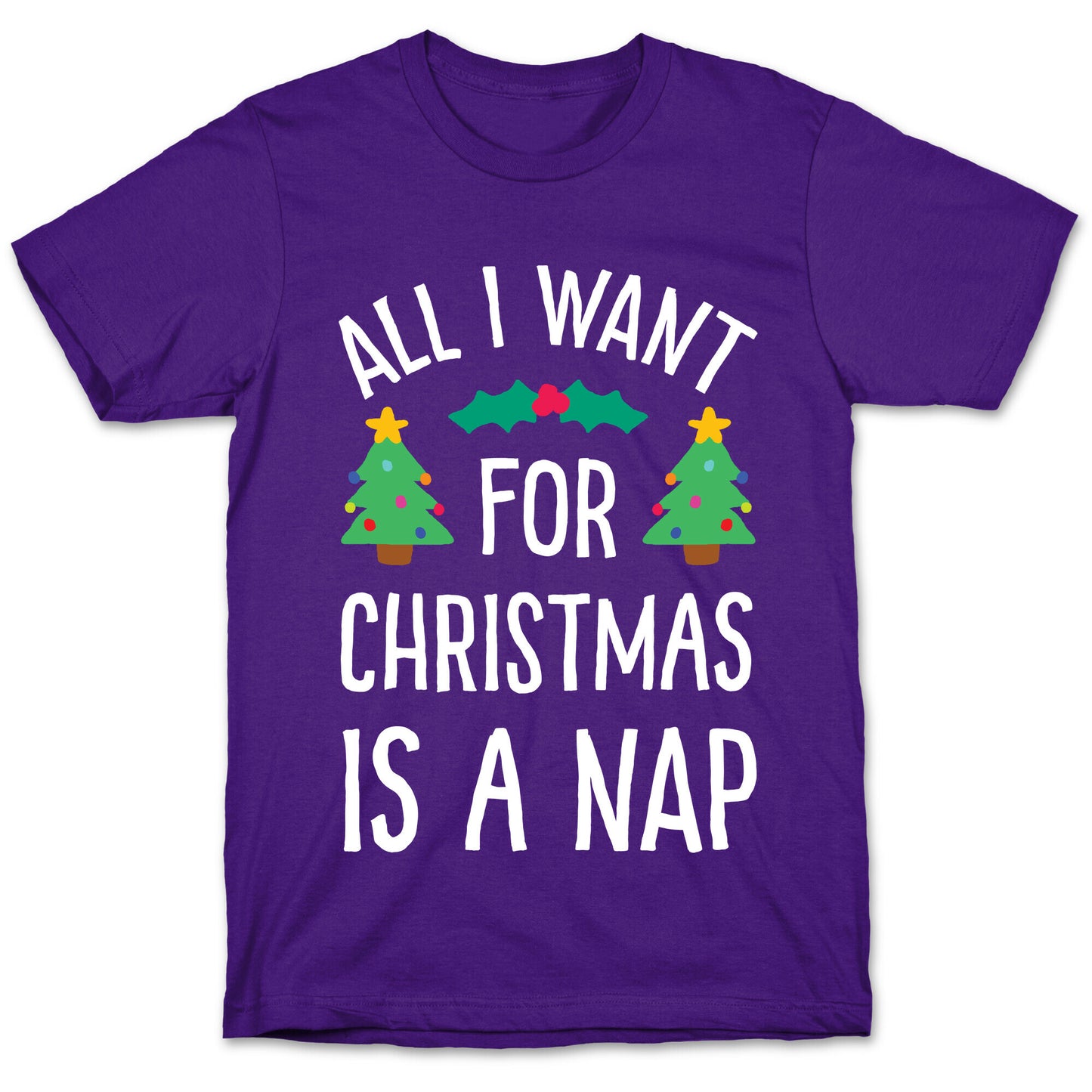 All I Want For Christmas Is A Nap T-Shirt