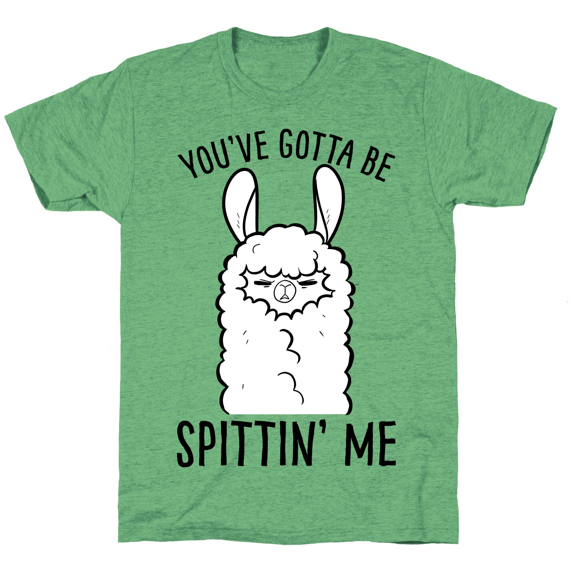 You've Gotta Be Spittin Me Unisex Triblend Tee