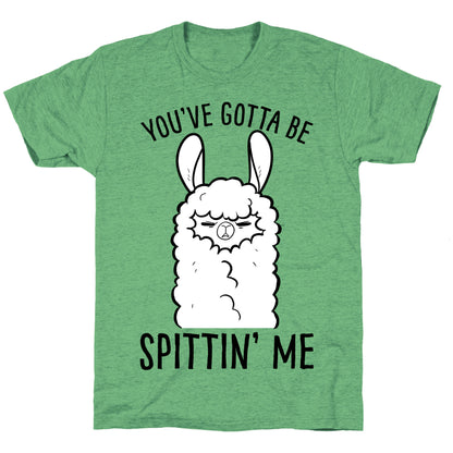 You've Gotta Be Spittin Me Unisex Triblend Tee