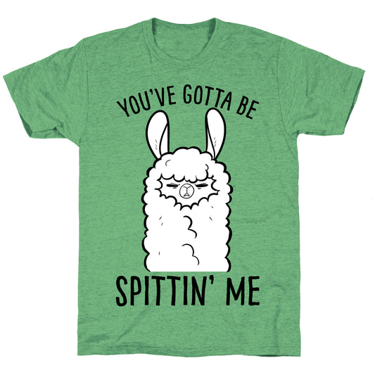 You've Gotta Be Spittin Me Unisex Triblend Tee