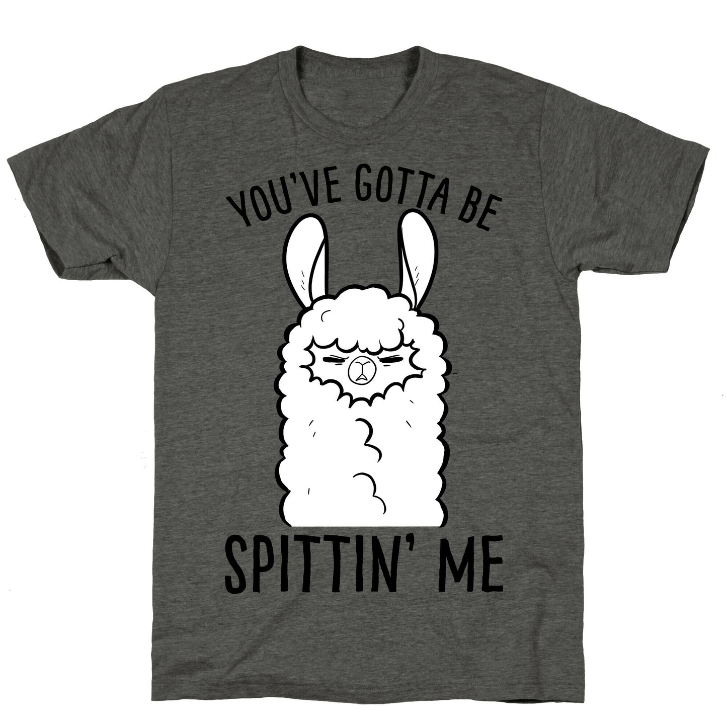 You've Gotta Be Spittin Me Unisex Triblend Tee
