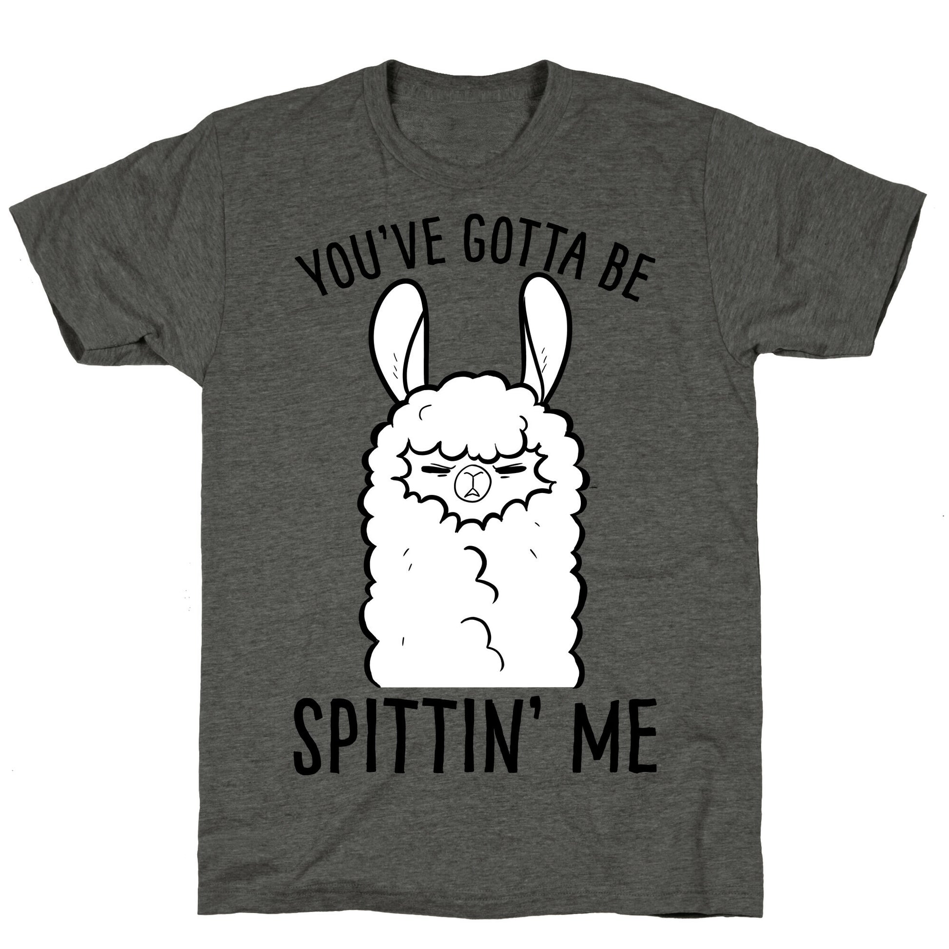 You've Gotta Be Spittin Me Unisex Triblend Tee