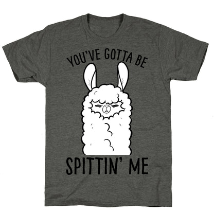 You've Gotta Be Spittin Me Unisex Triblend Tee