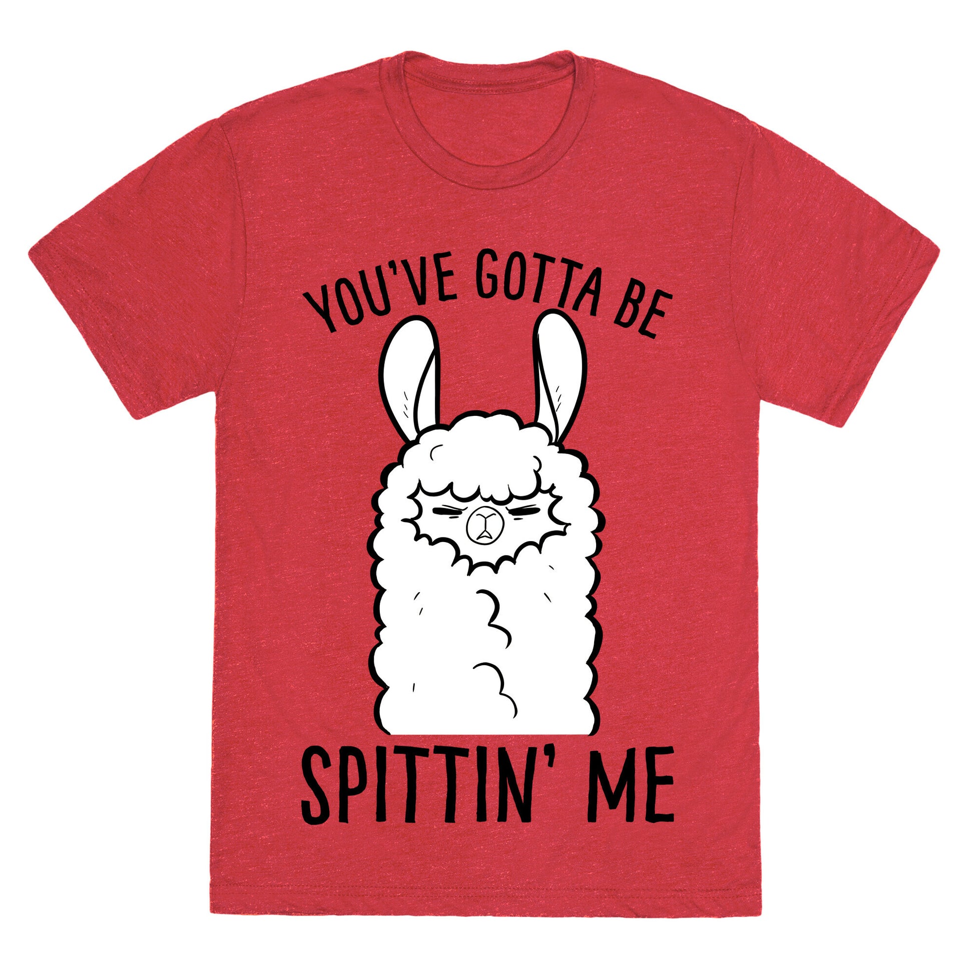 You've Gotta Be Spittin Me Unisex Triblend Tee