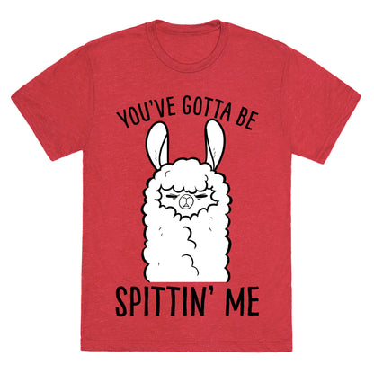 You've Gotta Be Spittin Me Unisex Triblend Tee