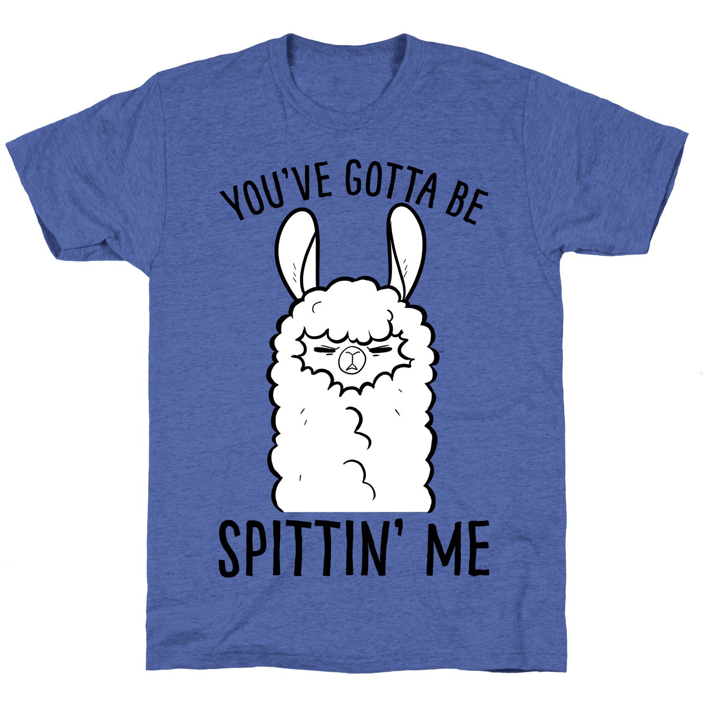 You've Gotta Be Spittin Me Unisex Triblend Tee