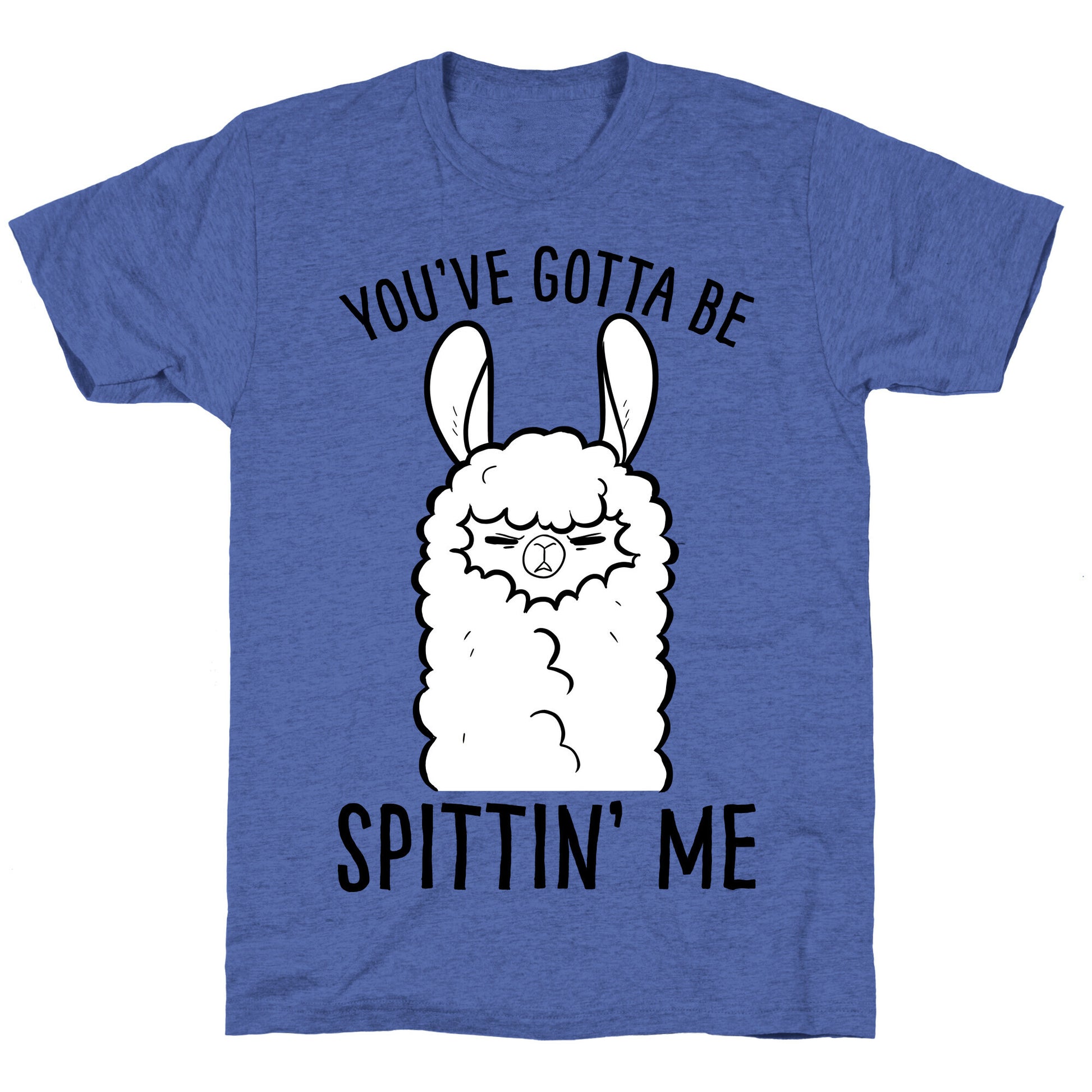 You've Gotta Be Spittin Me Unisex Triblend Tee