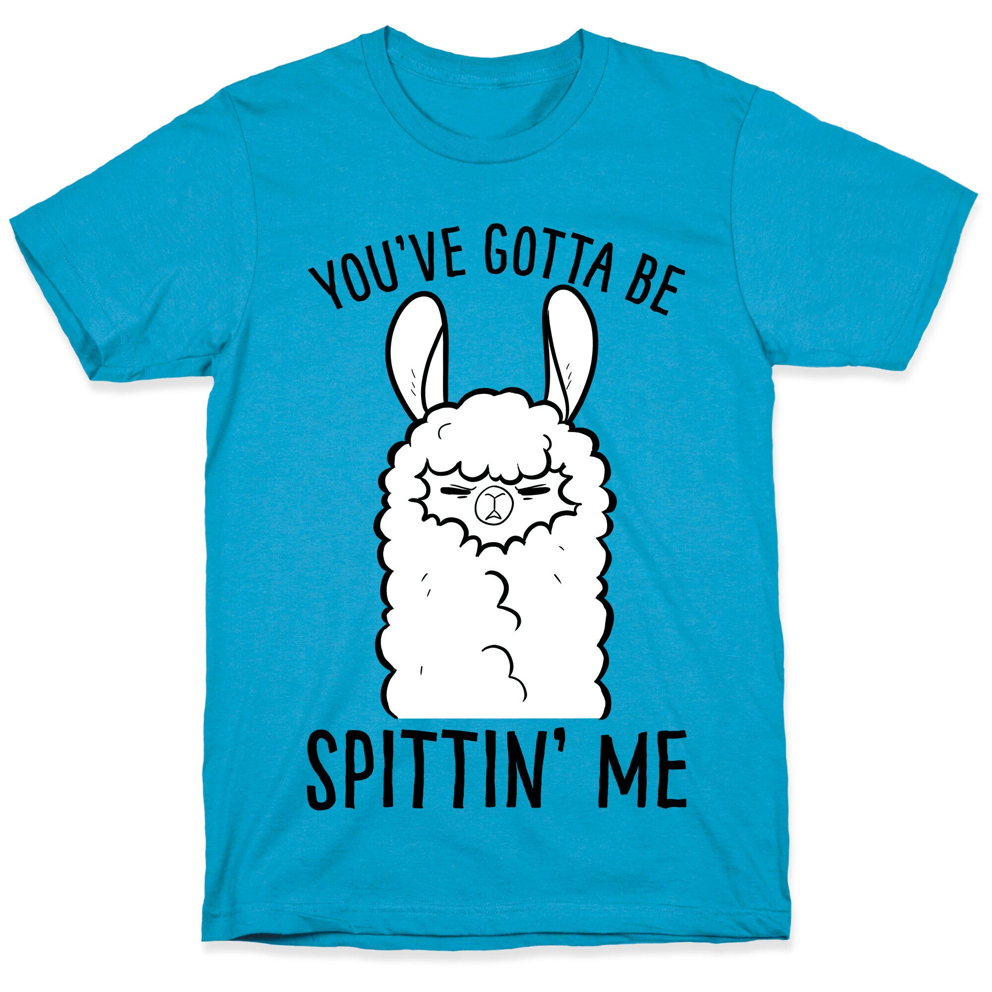 You've Gotta Be Spittin Me Unisex Triblend Tee