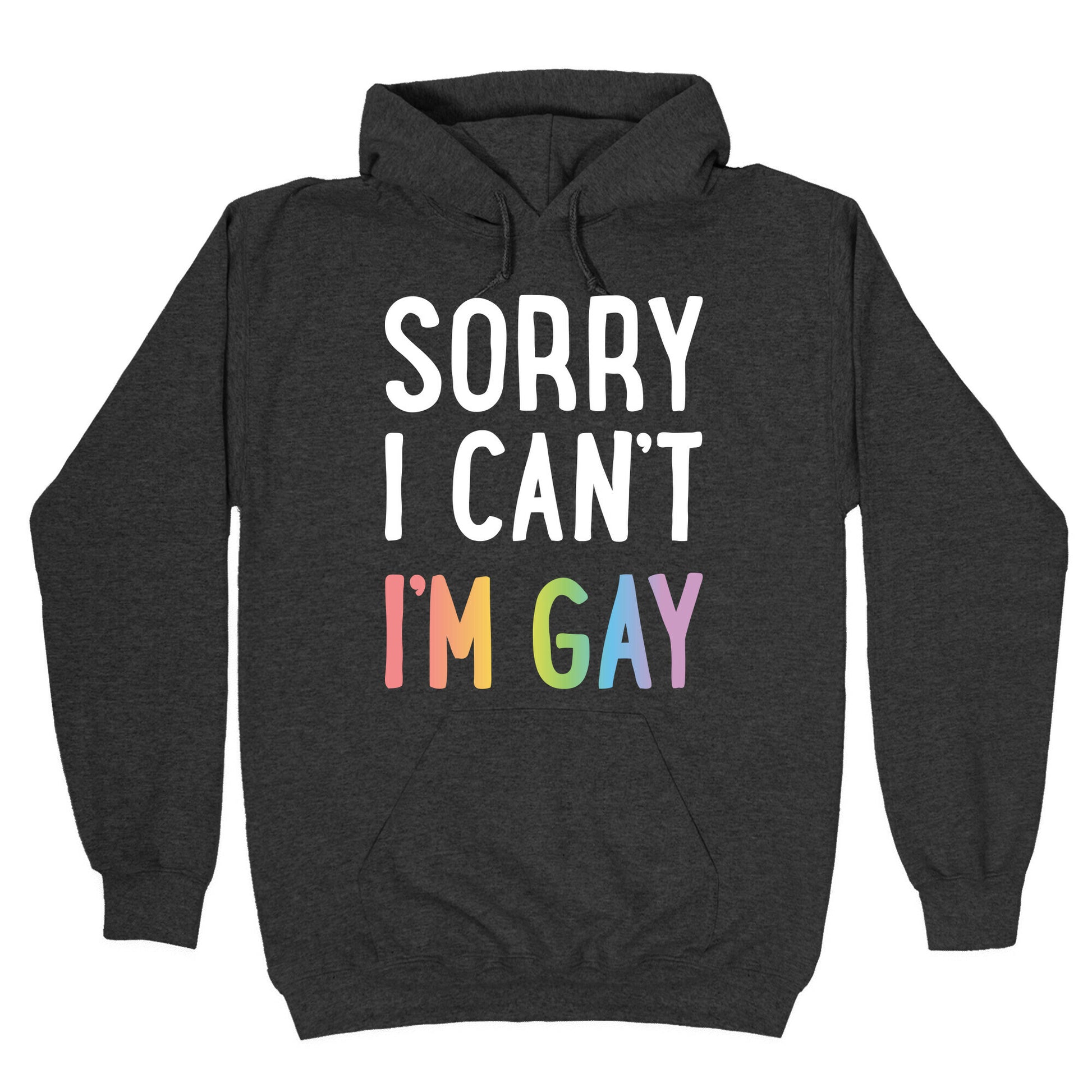 Sorry I Can't I'm Gay Hoodie