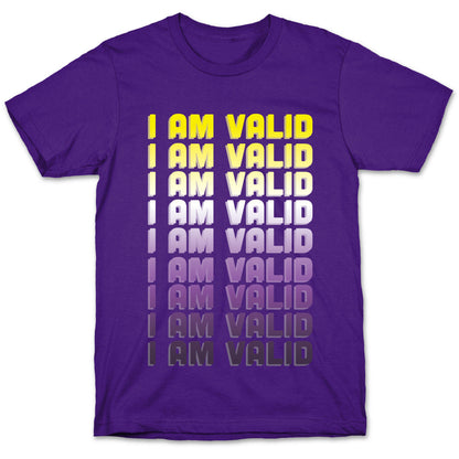 I Am Valid - Non-binary  T-Shirt