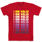 I Am Valid - Non-binary  T-Shirt