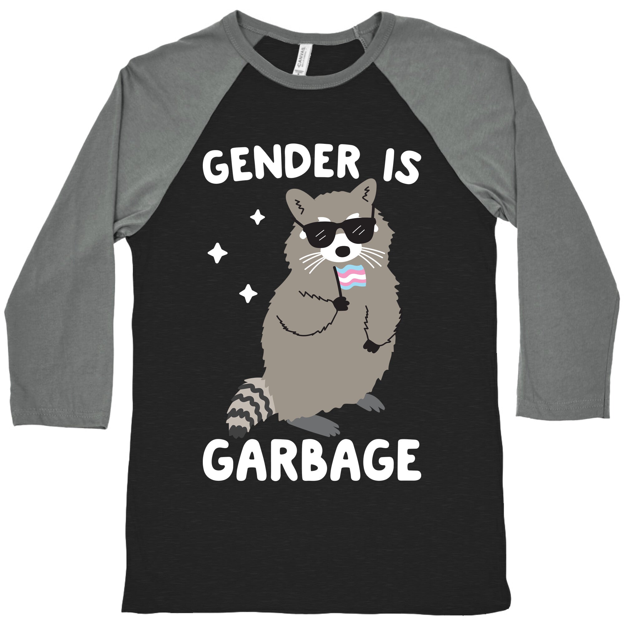Gender Is Garbage Trans Raccoon Baseball Tee