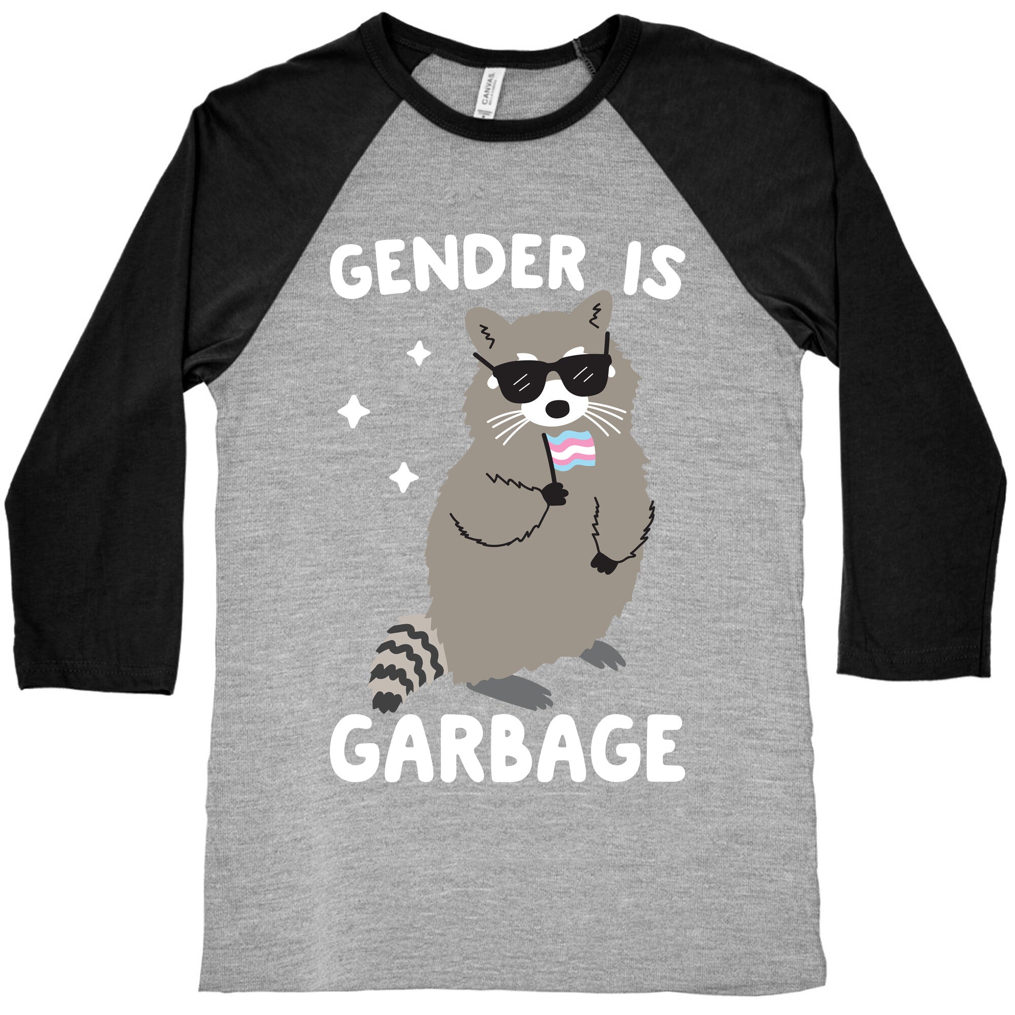 Gender Is Garbage Trans Raccoon Baseball Tee