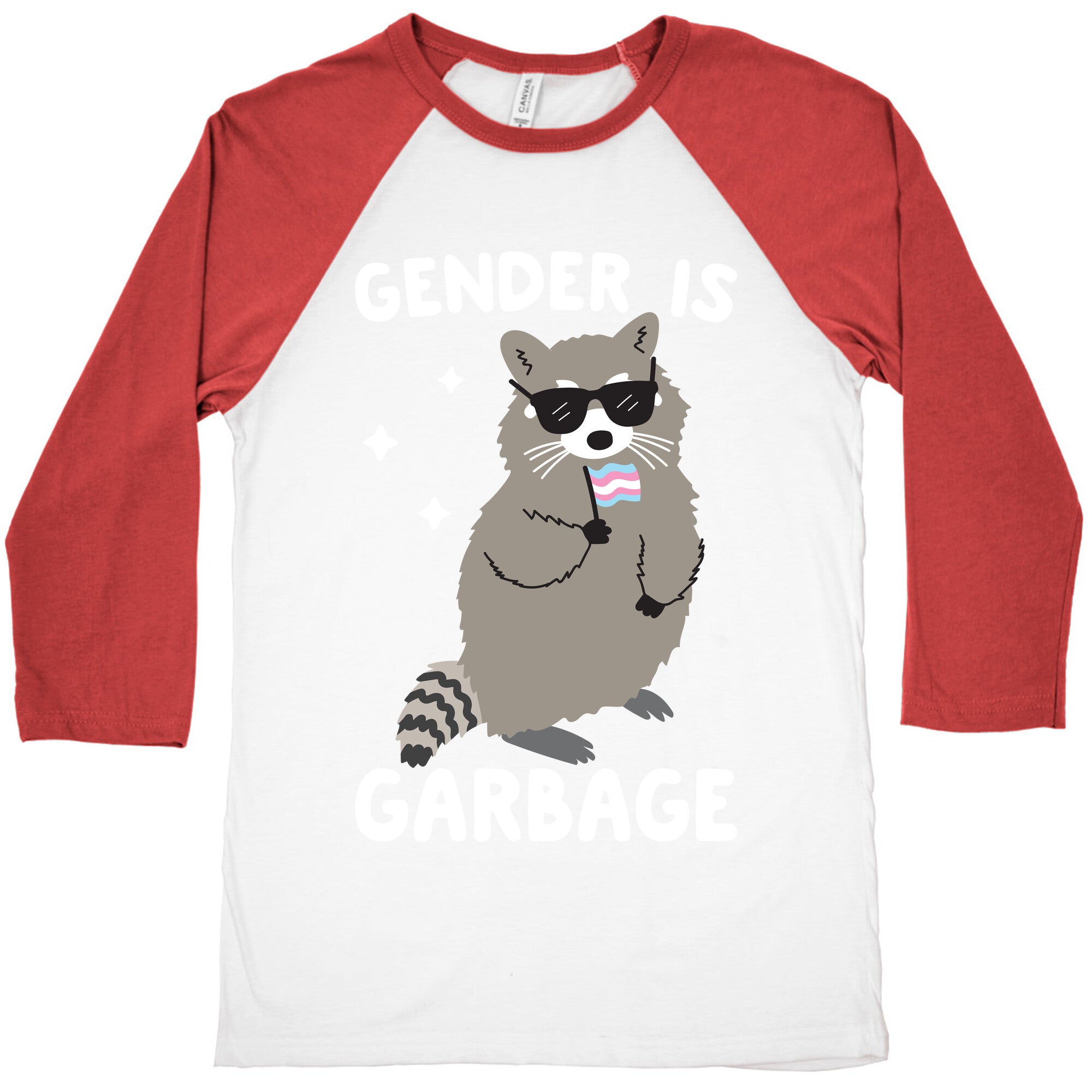 Gender Is Garbage Trans Raccoon Baseball Tee