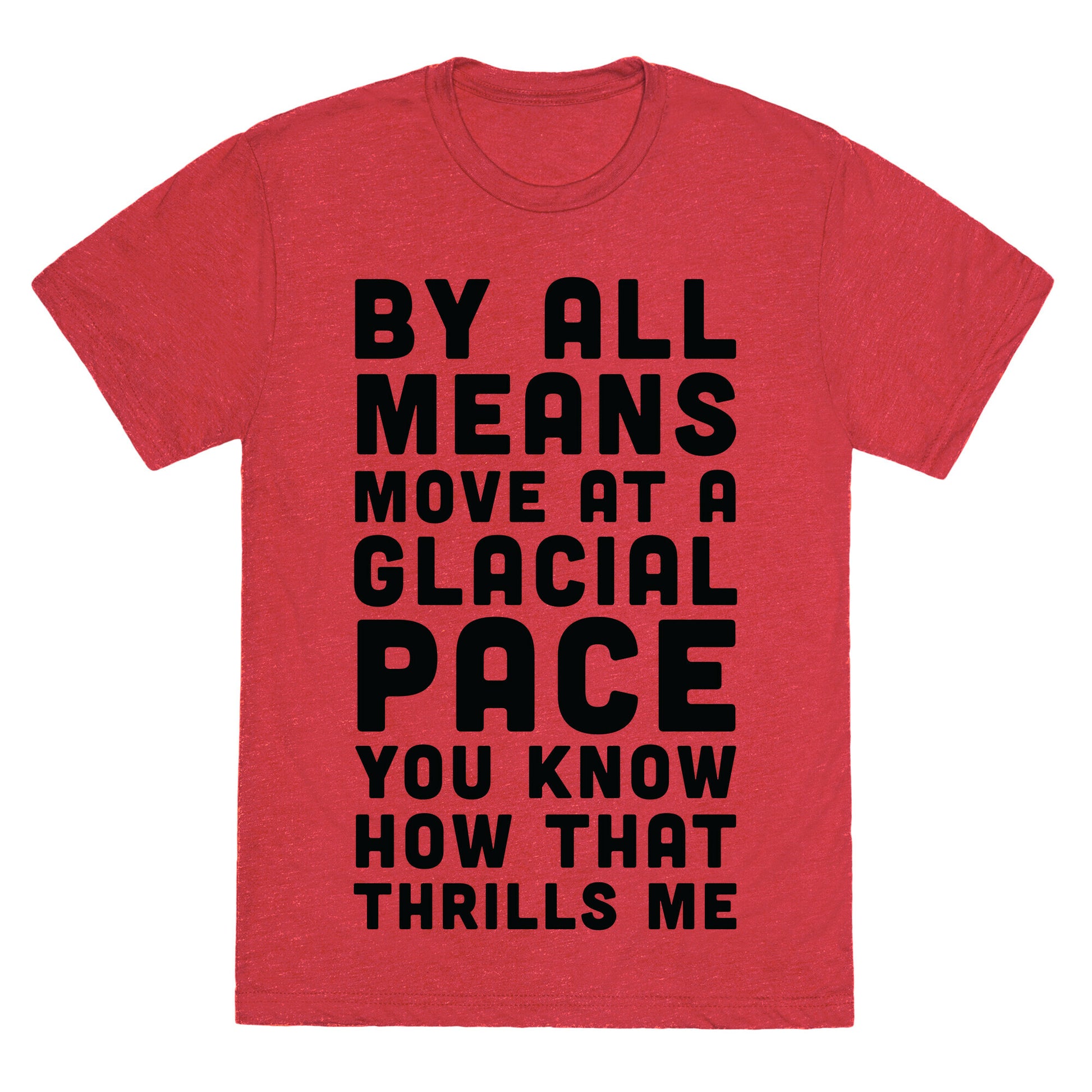 By All Means Move at a Glacial Pace You Know How That Thrills Me Unisex Triblend Tee