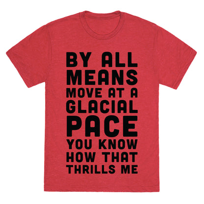 By All Means Move at a Glacial Pace You Know How That Thrills Me Unisex Triblend Tee