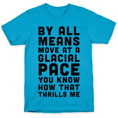 By All Means Move at a Glacial Pace You Know How That Thrills Me Unisex Triblend Tee