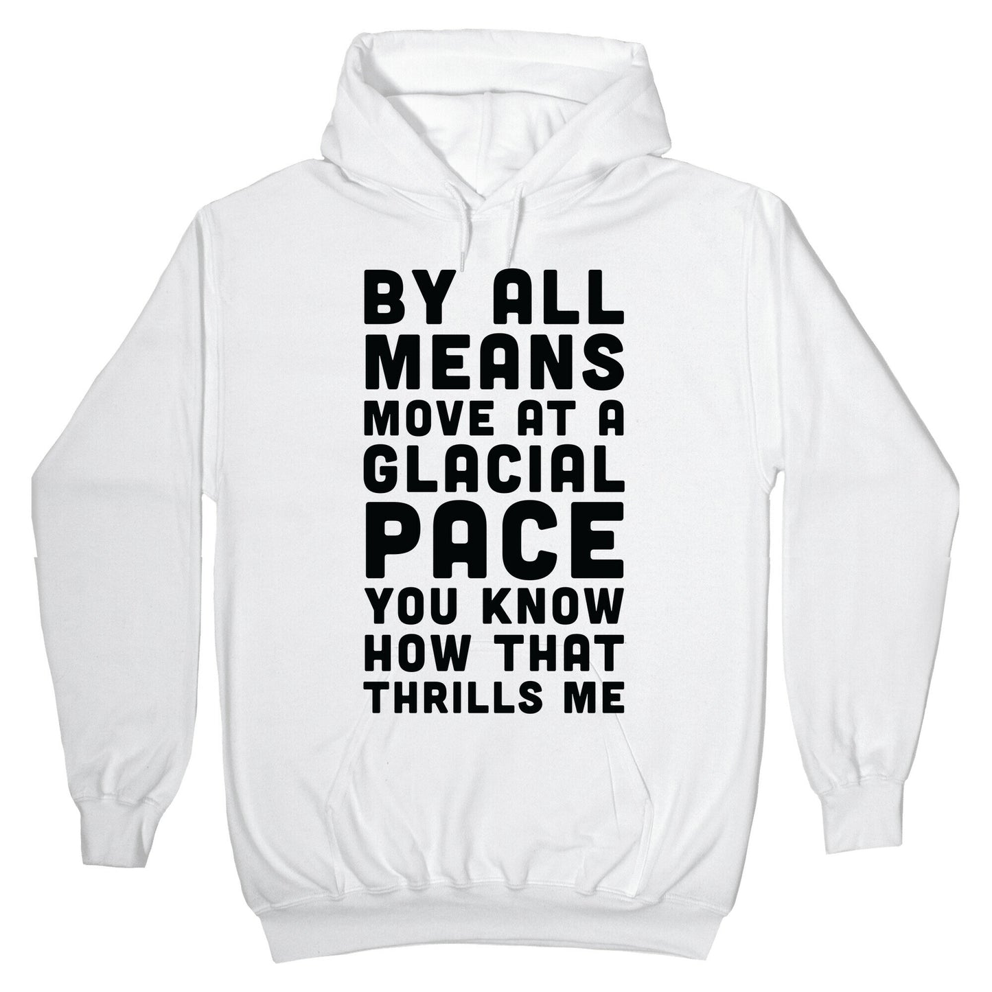 By All Means Move at a Glacial Pace You Know How That Thrills Me Hoodie