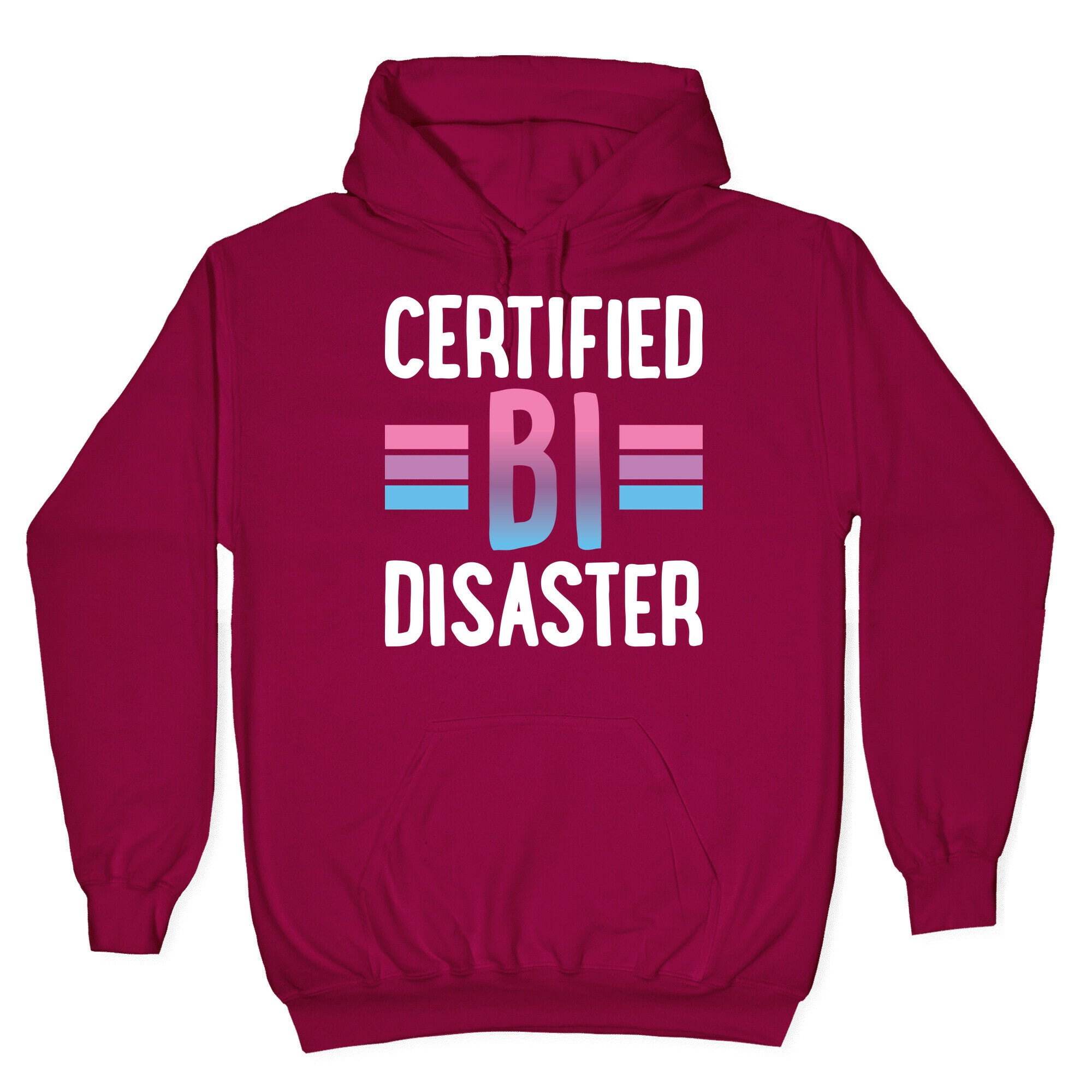 Certified Bi Disaster Hoodie