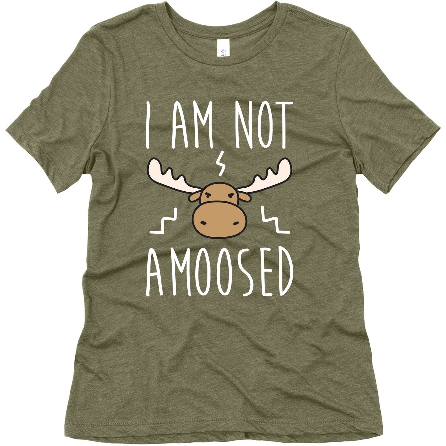 I Am Not Amoosed Women's Triblend Tee