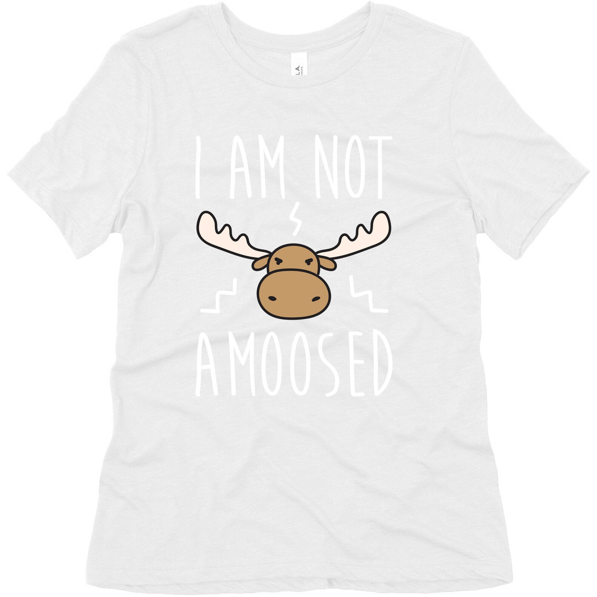 I Am Not Amoosed Women's Triblend Tee