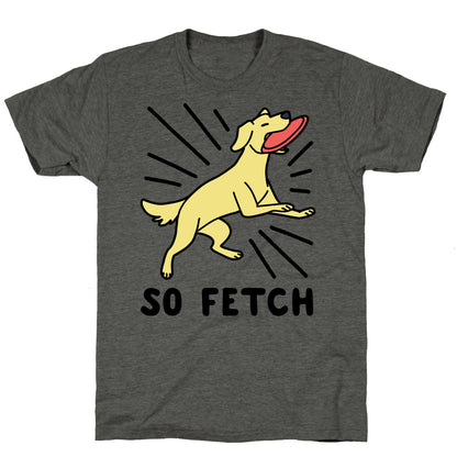 So Fetch - Dog Unisex Triblend Tee