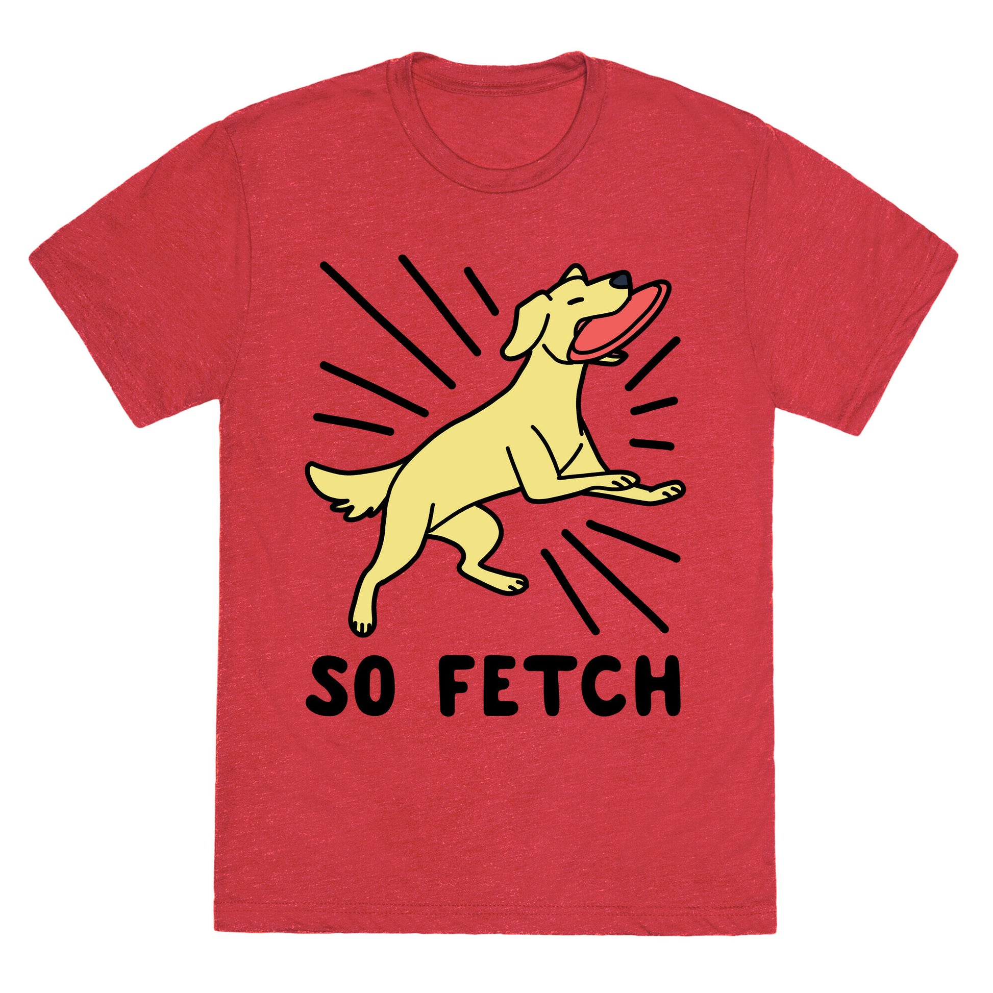 So Fetch - Dog Unisex Triblend Tee
