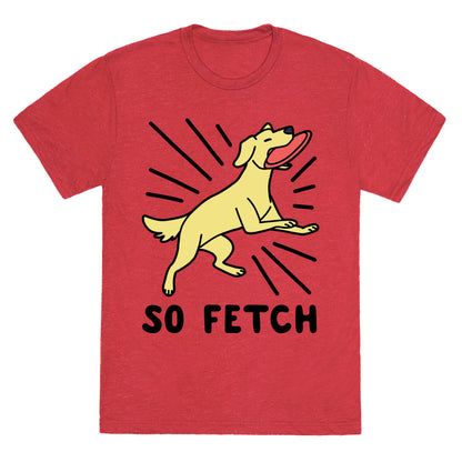 So Fetch - Dog Unisex Triblend Tee
