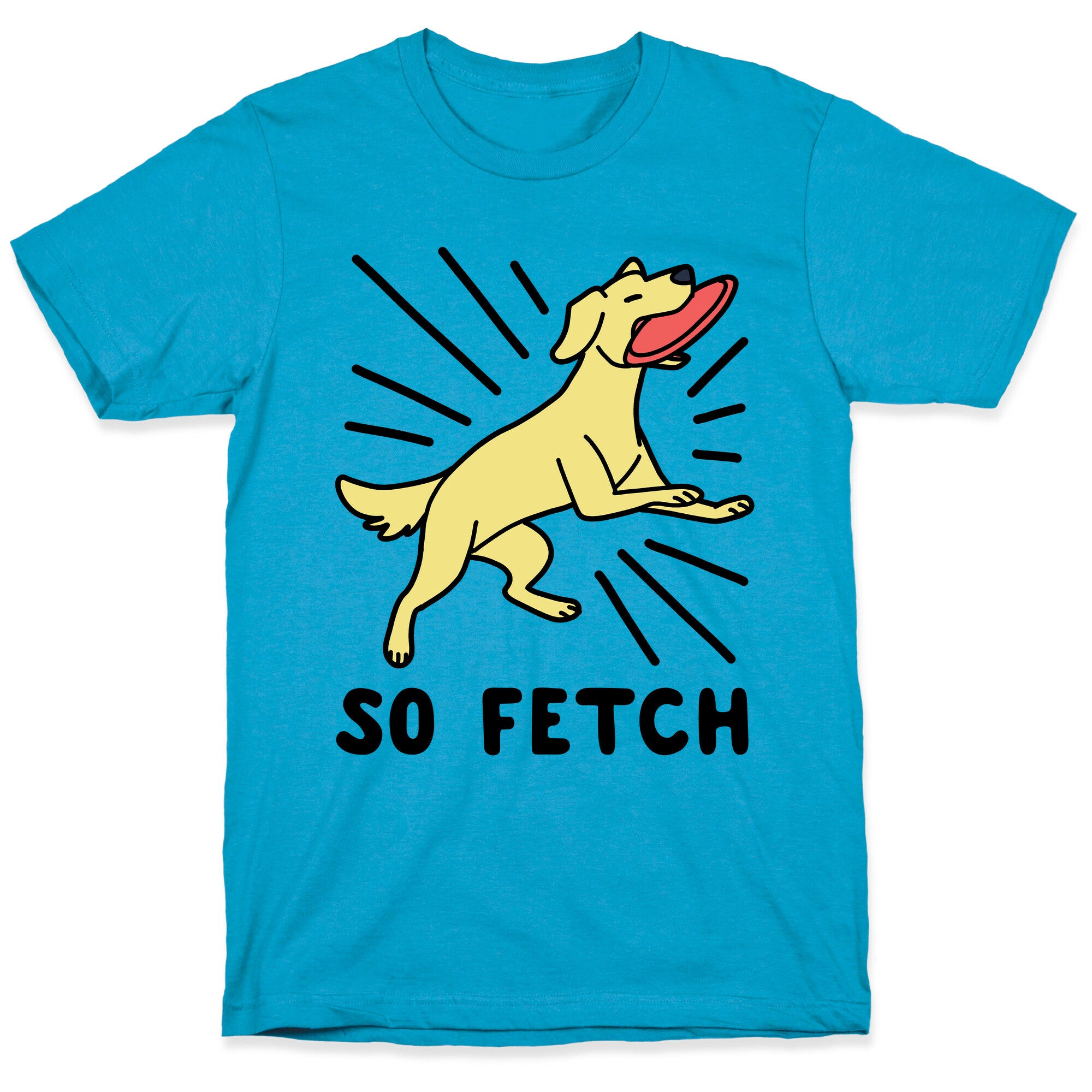 So Fetch - Dog Unisex Triblend Tee