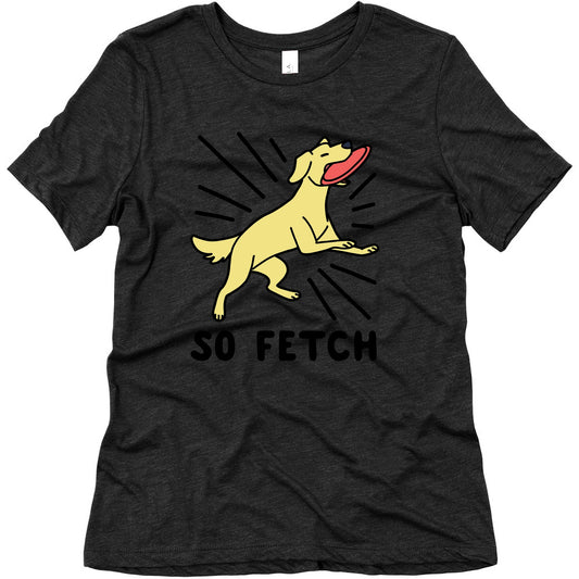 So Fetch - Dog Womens Triblend Tee