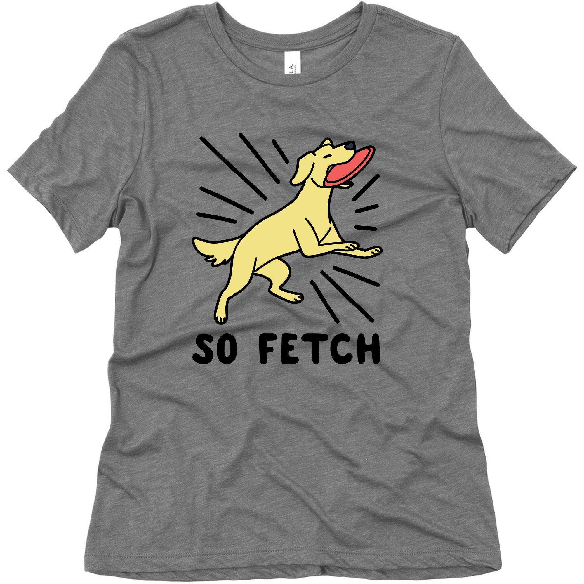 So Fetch - Dog Womens Triblend Tee