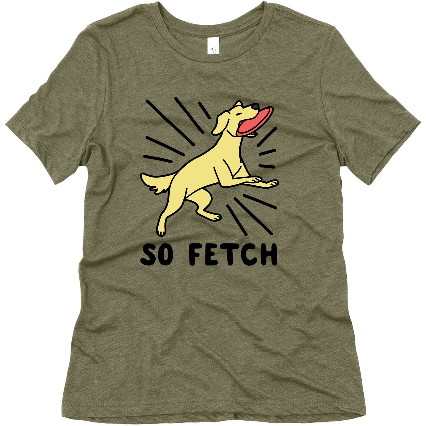 So Fetch - Dog Womens Triblend Tee