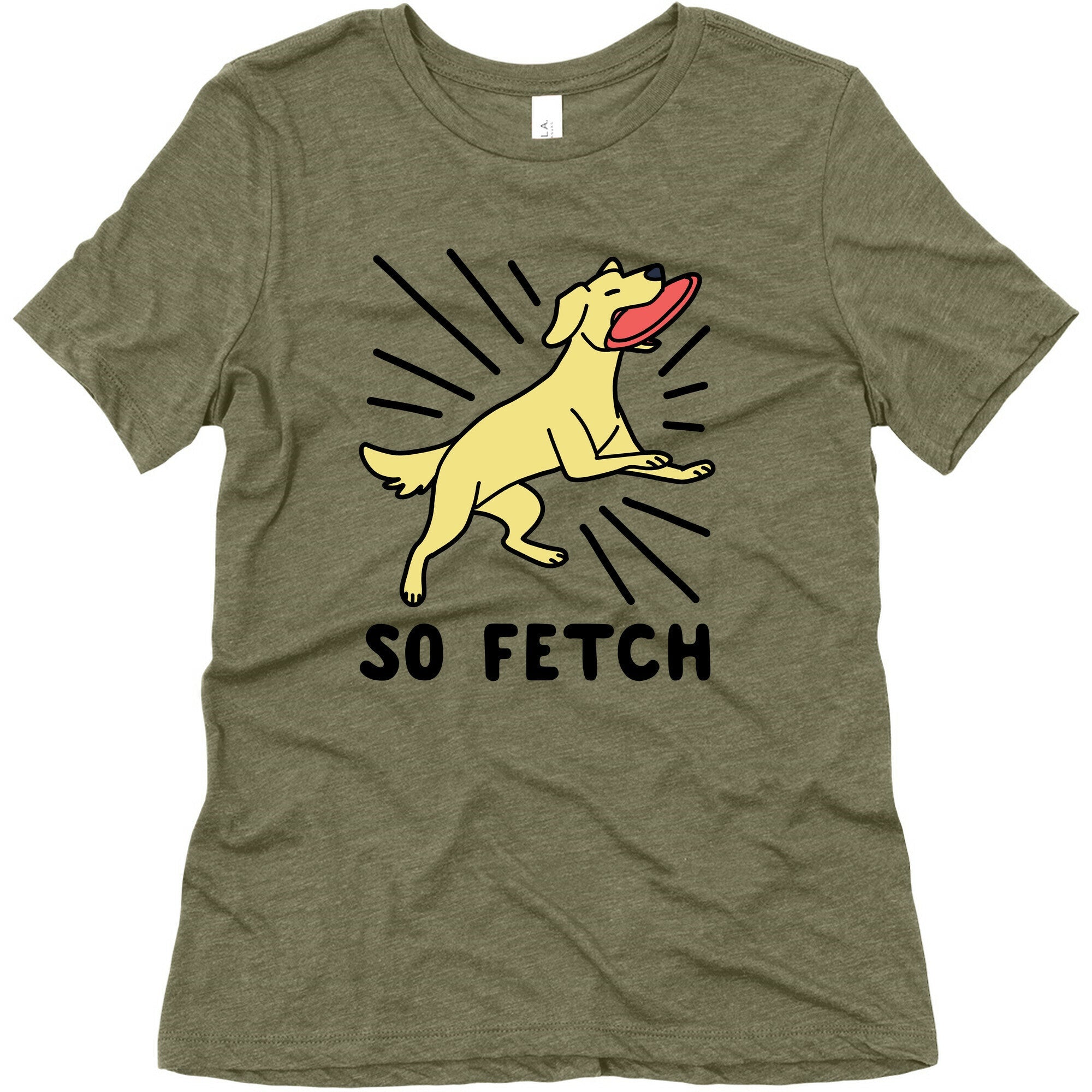 So Fetch - Dog Womens Triblend Tee