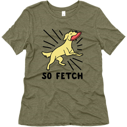 So Fetch - Dog Womens Triblend Tee