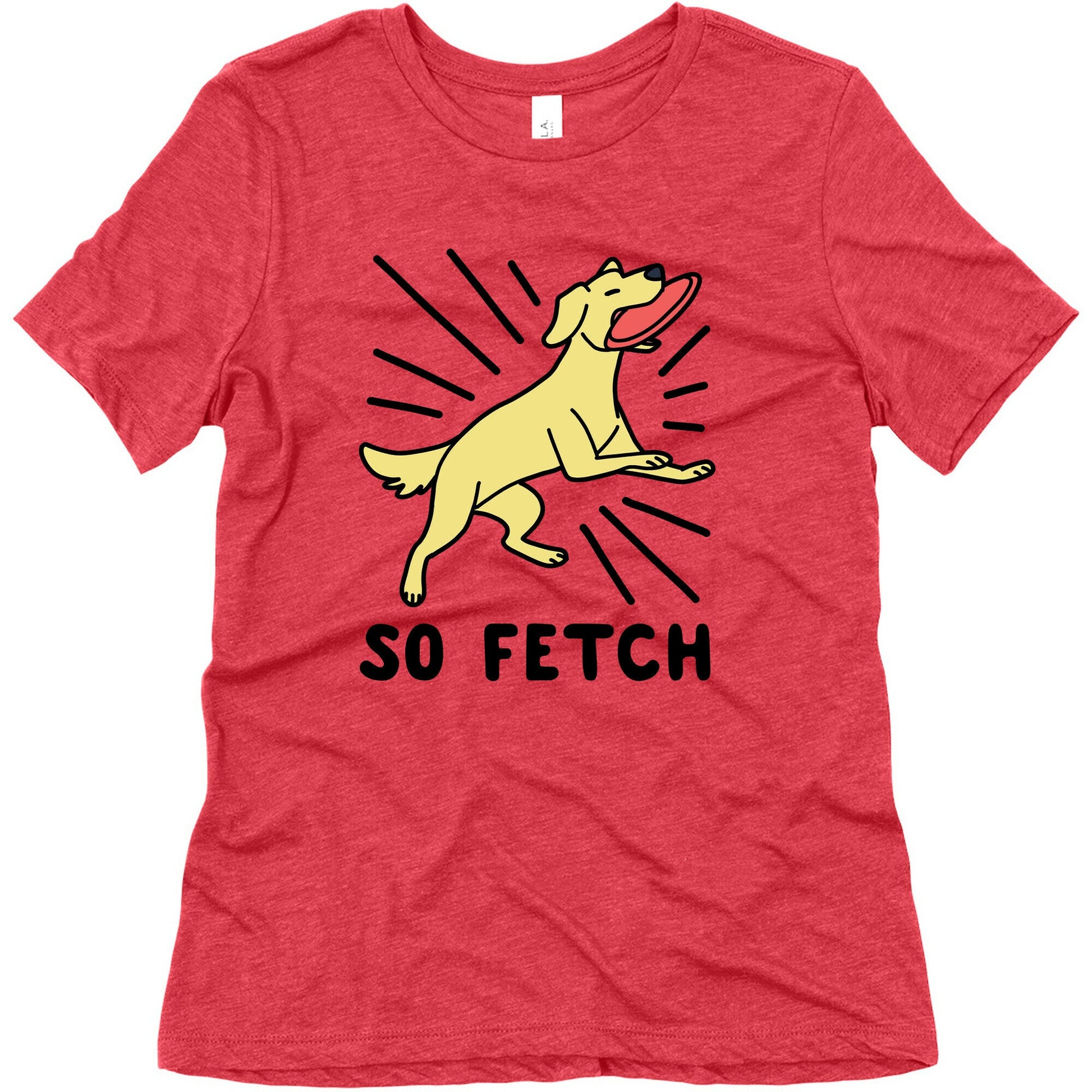 So Fetch - Dog Womens Triblend Tee