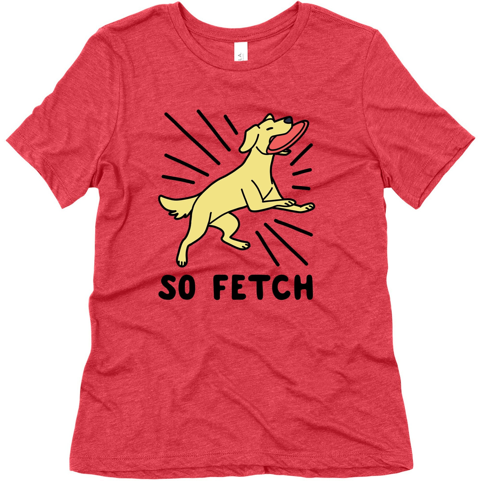 So Fetch - Dog Womens Triblend Tee