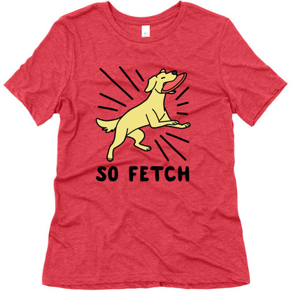 So Fetch - Dog Womens Triblend Tee
