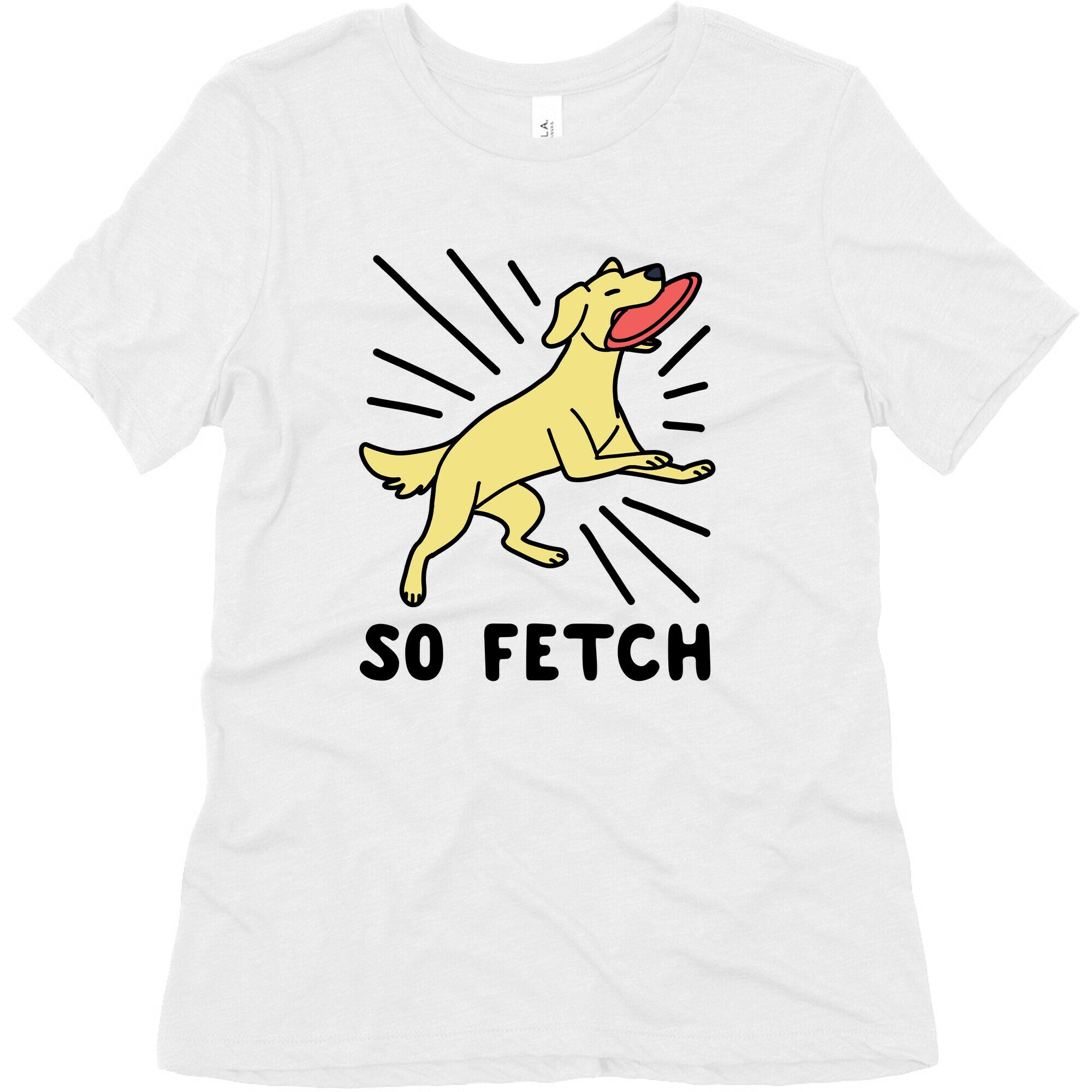 So Fetch - Dog Womens Triblend Tee