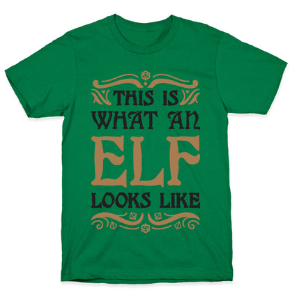 This Is What An Elf Looks Like T-Shirt