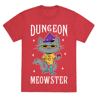 Dungeon Meowster Unisex Triblend Tee