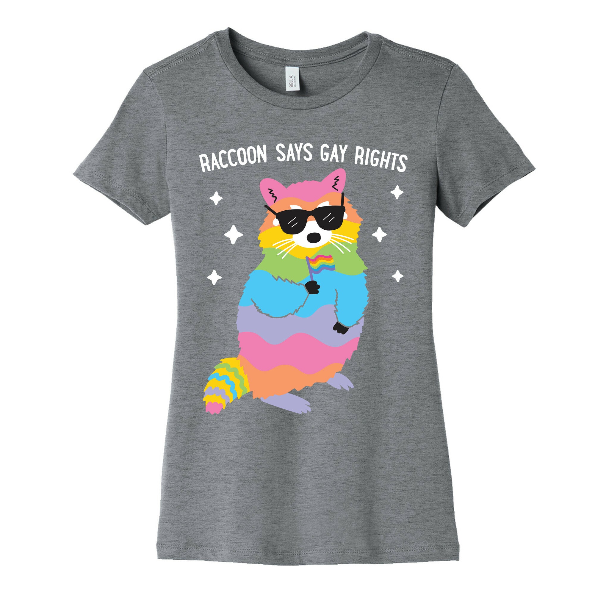 Raccoon Says Gay Rights Women's Cotton Tee
