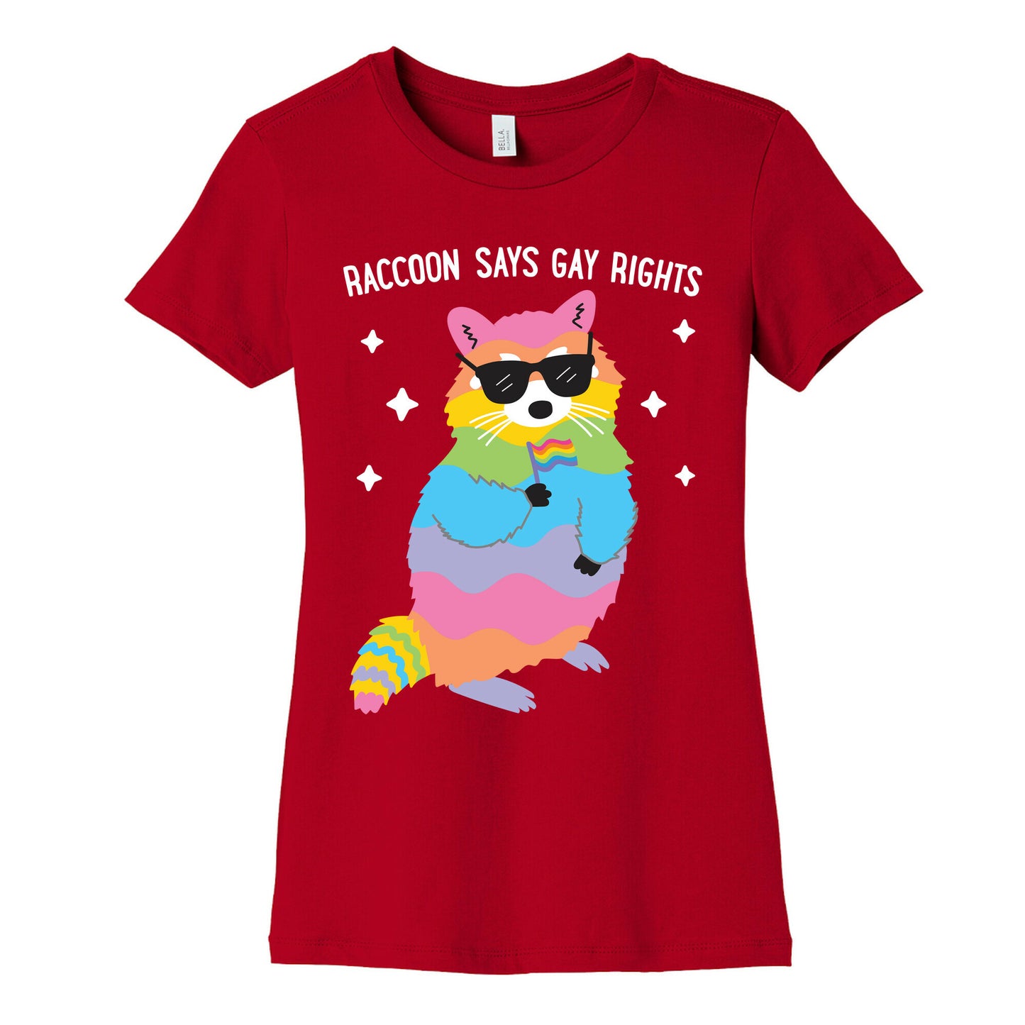 Raccoon Says Gay Rights Women's Cotton Tee