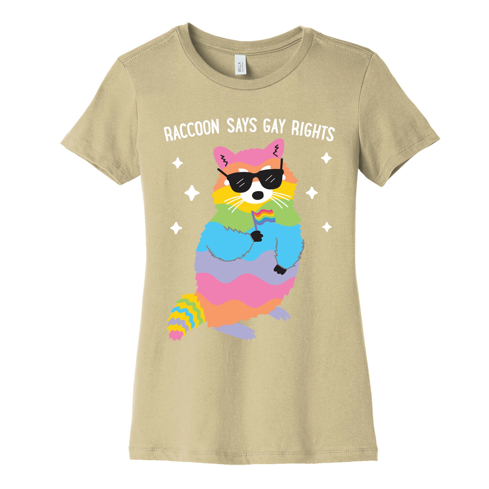 Raccoon Says Gay Rights Women's Cotton Tee