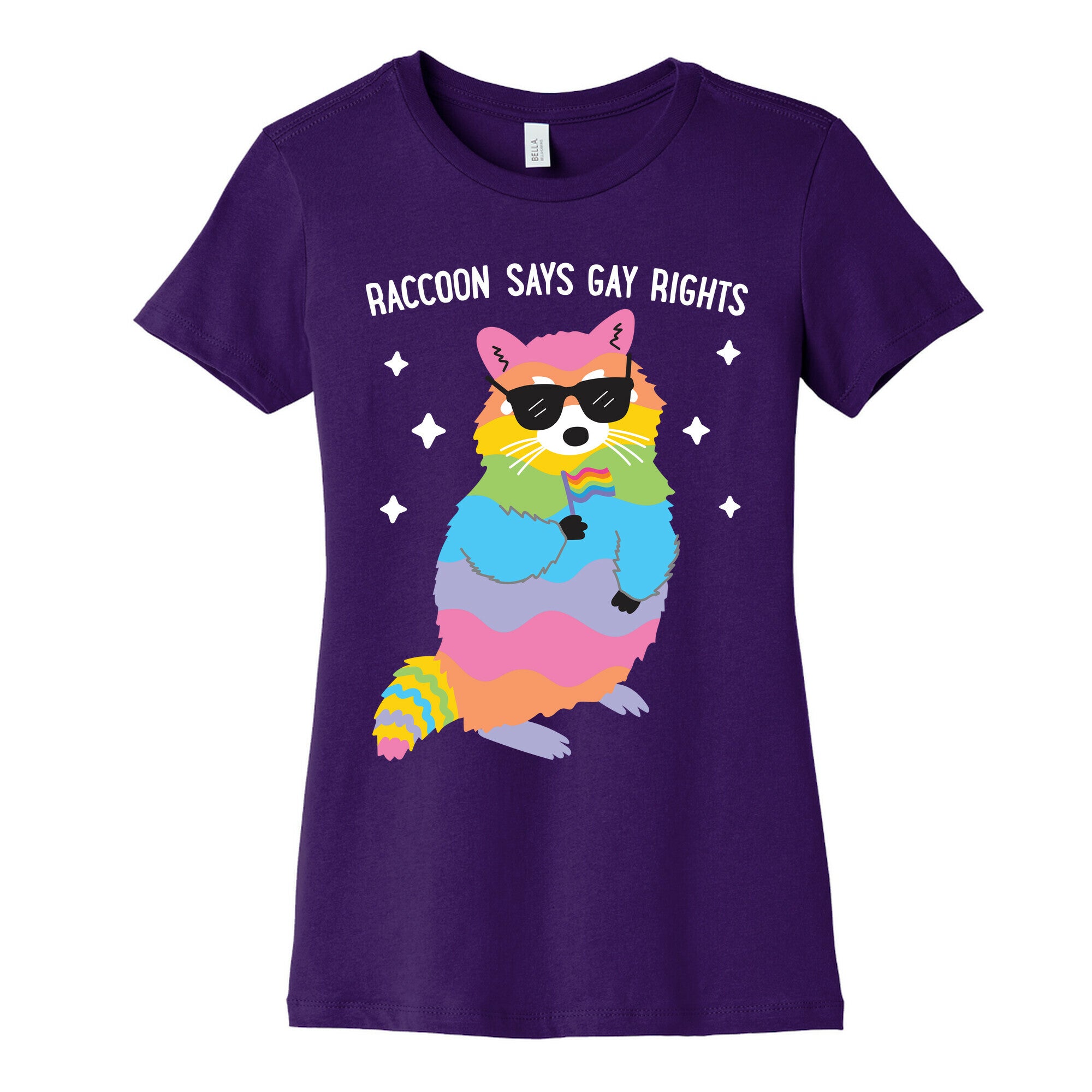 Raccoon Says Gay Rights Women's Cotton Tee